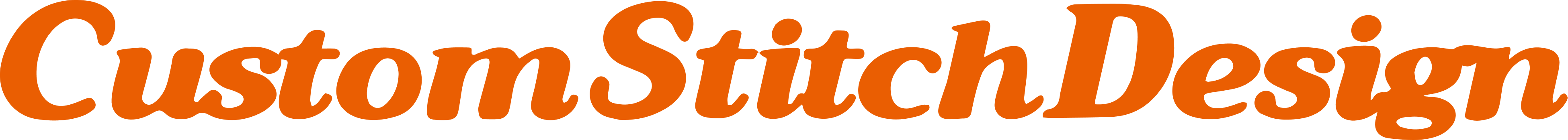 Custom Stitch Design